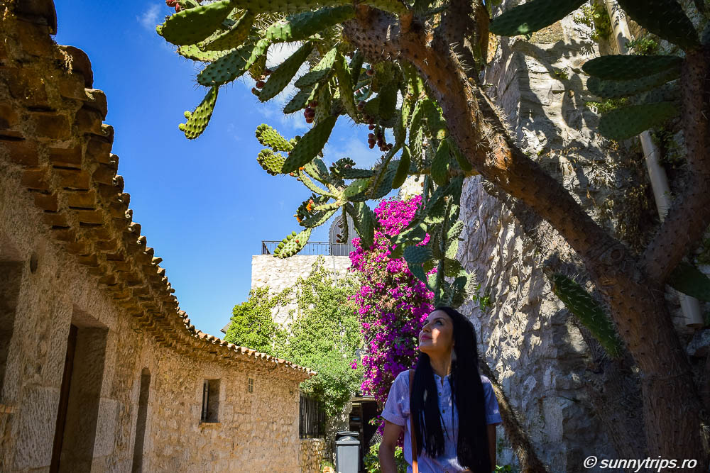 Albastru de Eze Village