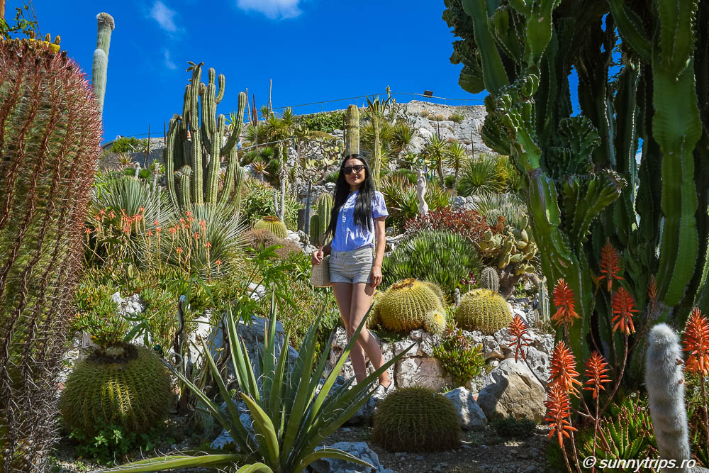 Eze Village: cactusi din Gradina Exotica