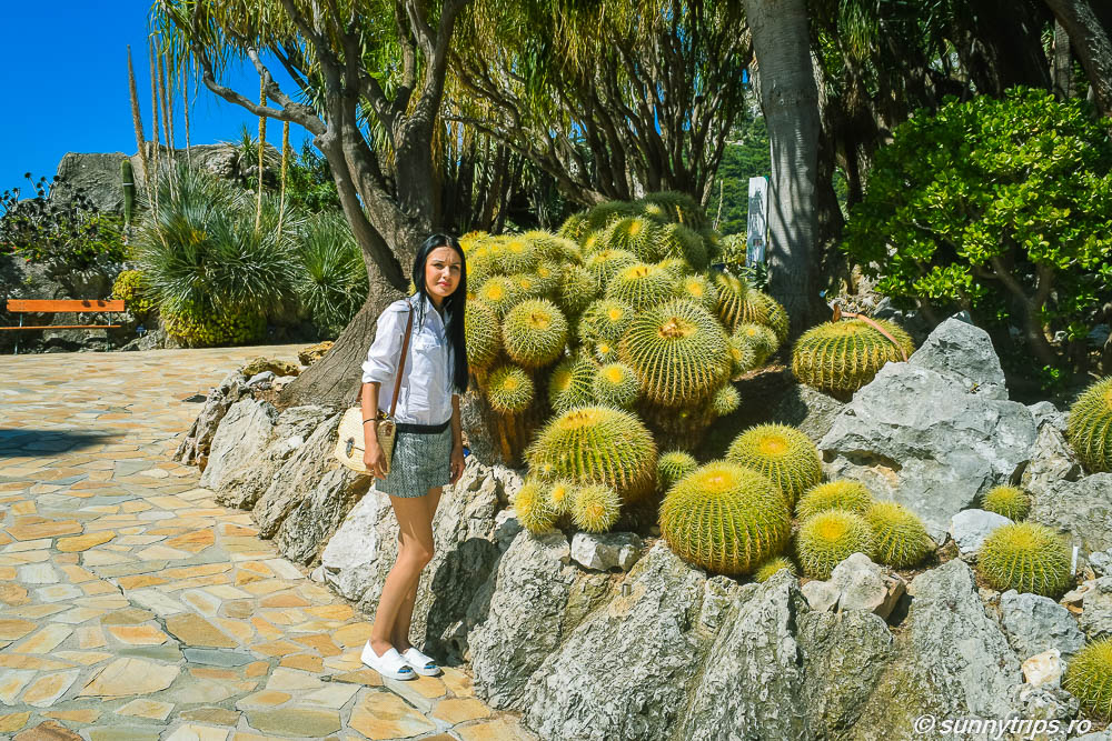 Monaco: cactuși in Jardin Exotique