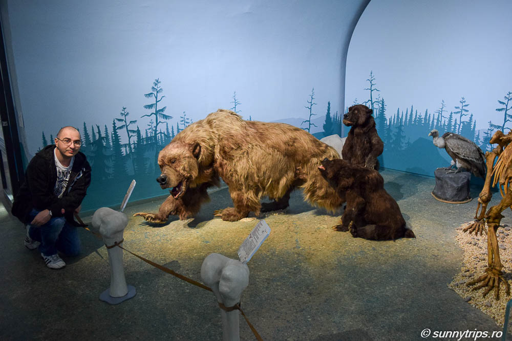 Muzeul Koblenz: un urs preistoric