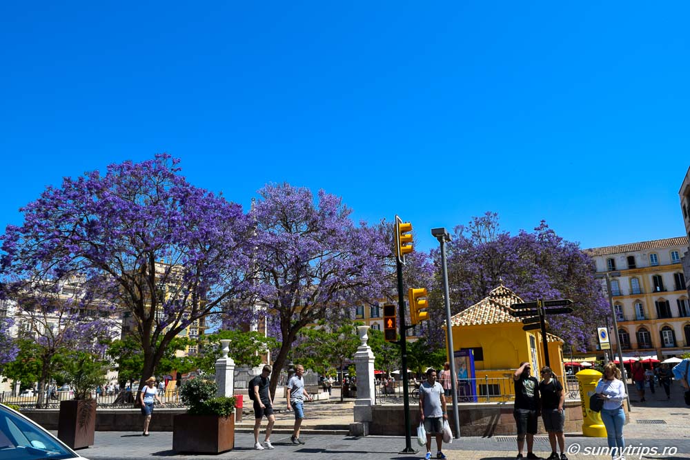 Obiective turistice din Malaga: Plaza de la Merced