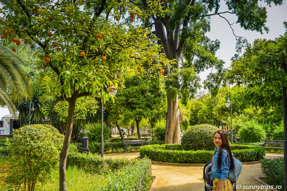 Chiar dacă nu se numără printre cele mai importante obiective turistice din Sevilla, Jardines de las Delicias merită o vizită.