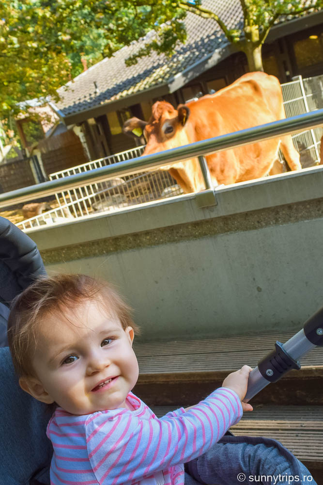 locuri speciale din Mannheim: Ferma de animale din Luisenpark