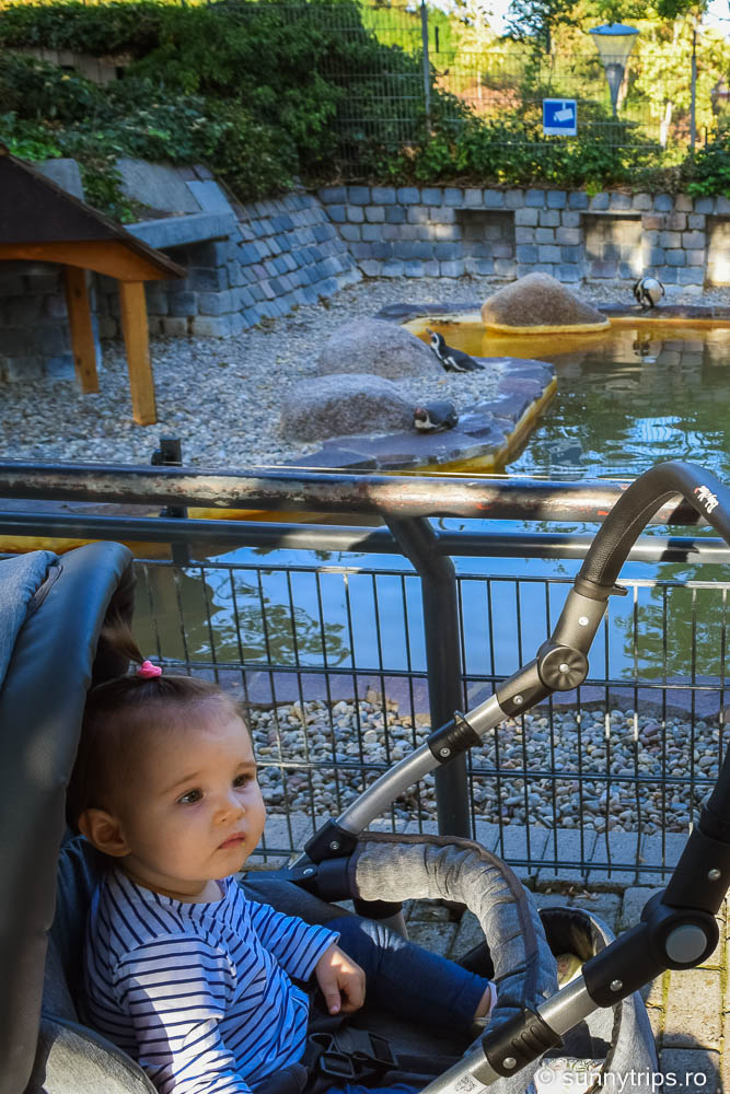 locuri speciale din Mannheim: Mini-zoo din Luisenpark