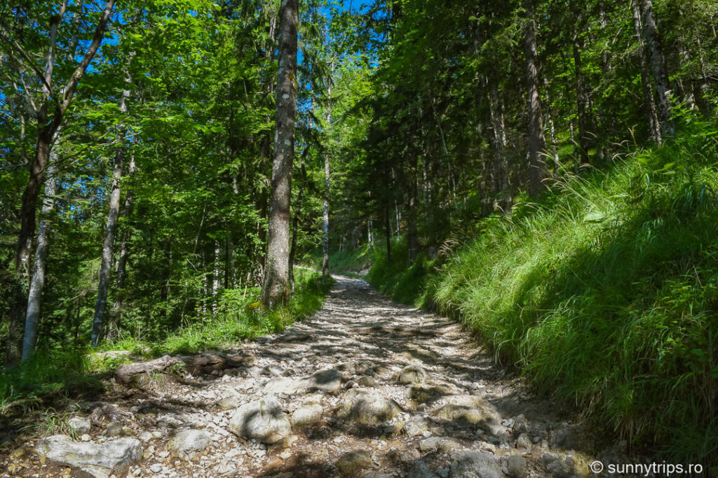 Drumeție pe Schafberg: drum accidentat