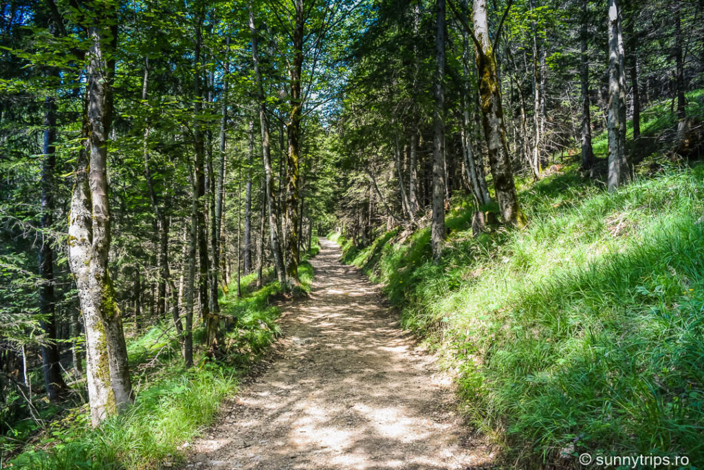 Drumeție pe Schafberg: drum spre Dorneralm