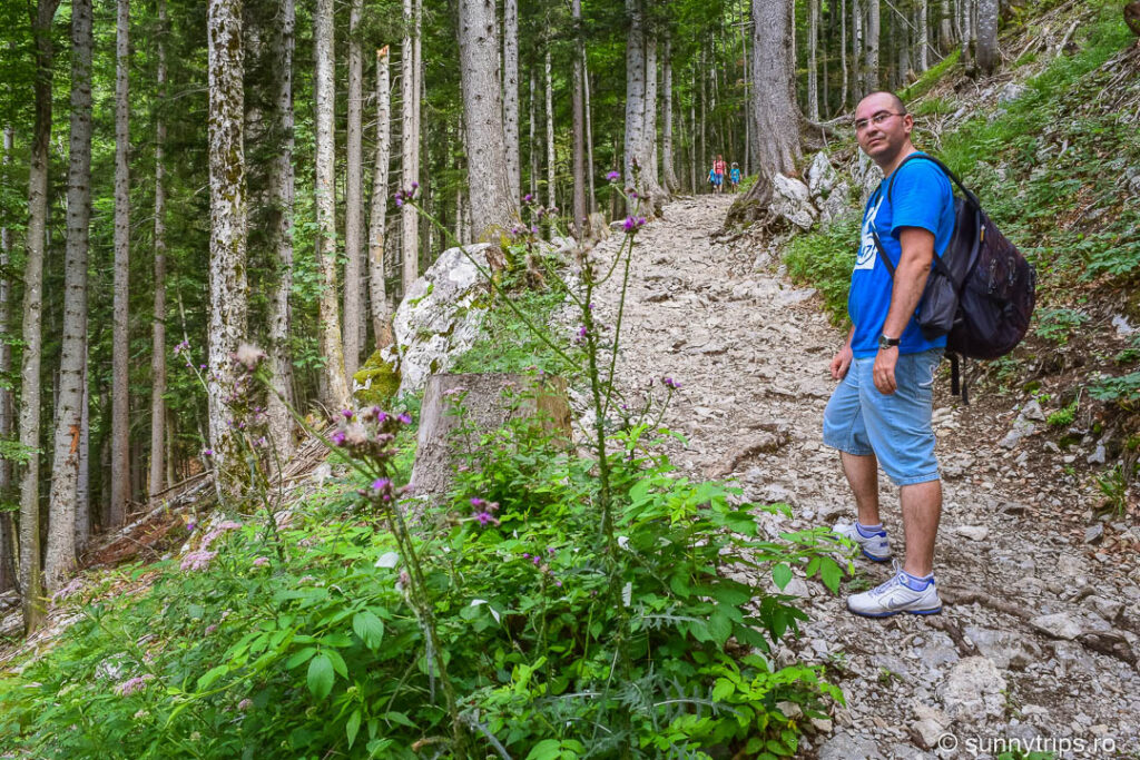 Drumeție pe Schafberg: drumul spre Schafbergalm
