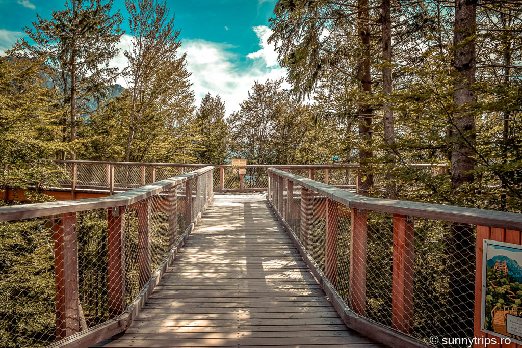 Gmunden: Top Tree walk
