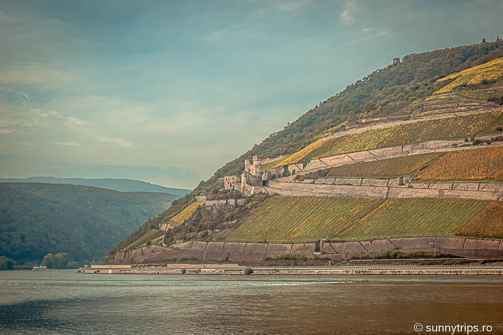 Bingen: vedere spre castelul Ehrenfels