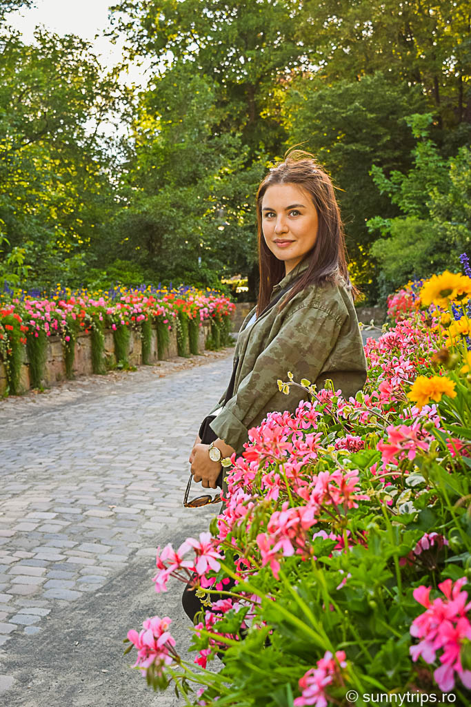 gradina castel Marburg