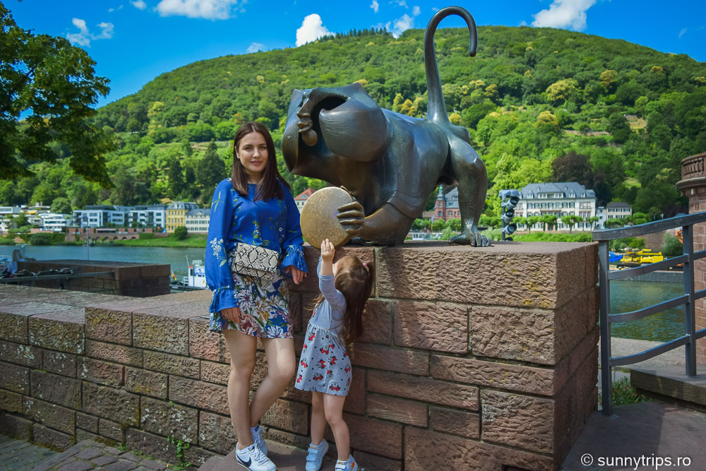 Obiective turistice din Heidelberg: Brückenaffe
