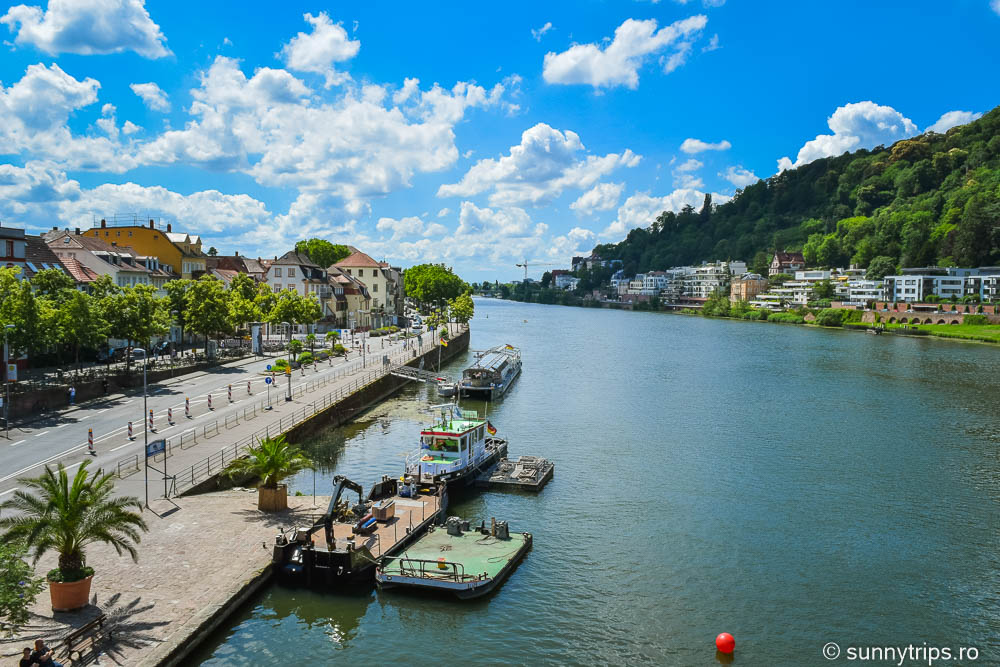 Obiective turistice din Heidelberg: Neckar