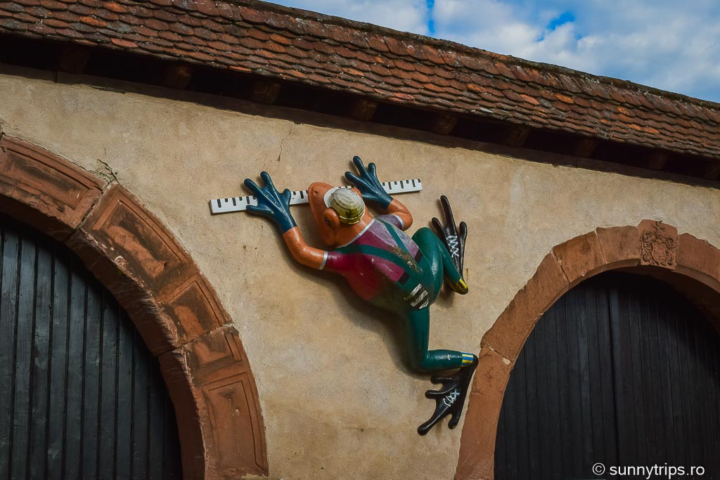broasca de Büdingen