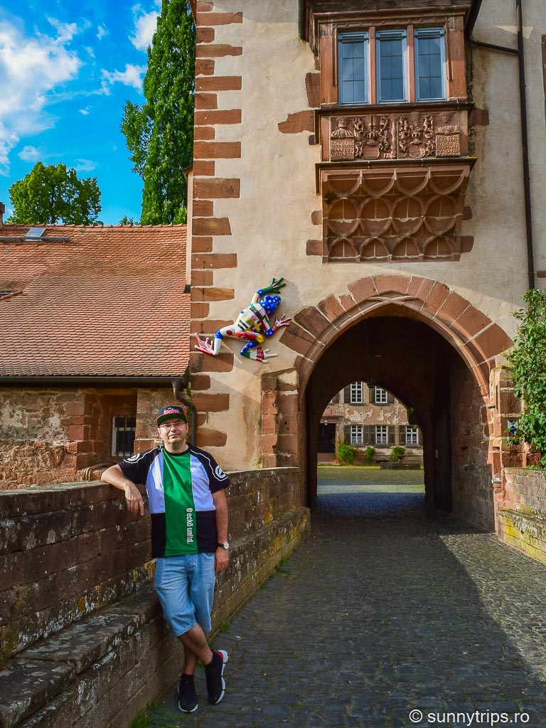 Castelul conților de Büdingen